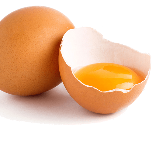 Egg Yolk image photo